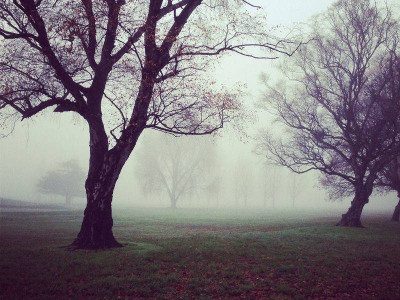 Bootstrap 3 Gallery - 2