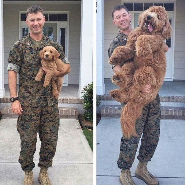 Có một sự thay đổi không hề nhẹ!