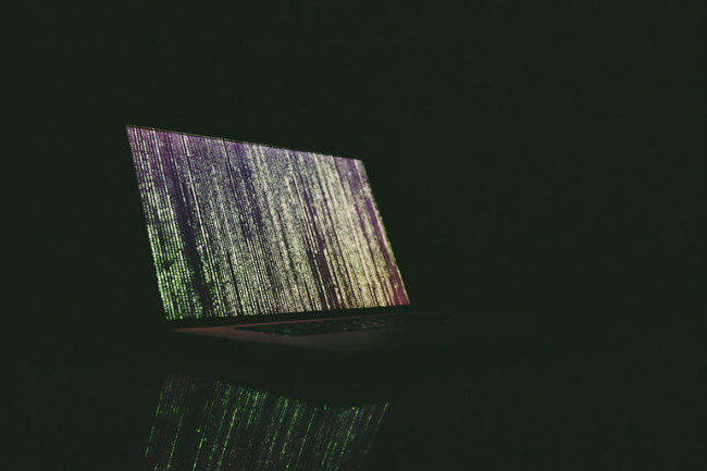 Hacker bị tù 2 năm vì các cuộc tấn công DDoS chống lại Skype và Google