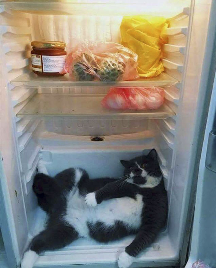 Kiểu thế giới này là của Boss đó sen!