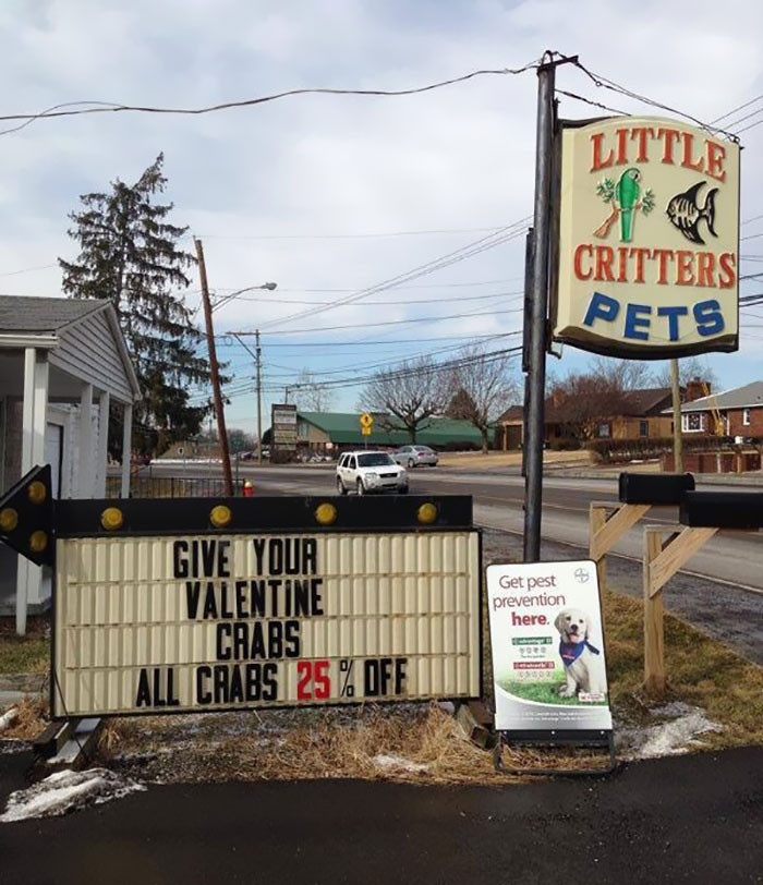 Không phải món quà mà bạn thực sự muốn tặng hoặc mua vào ngày Valentine.