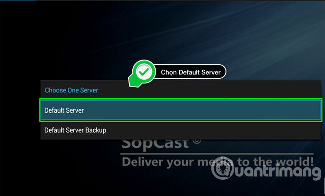 Mặc định bạn nên chọn Default Server.