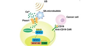 Các nhà nghiên cứu đang phát triển hệ thống miễn dịch ung thư được điều khiển từ xa