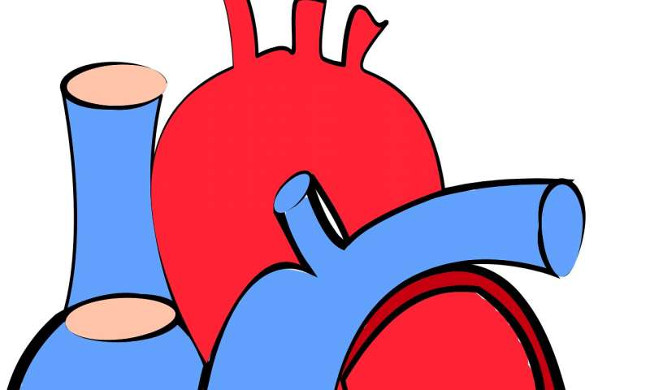 Mối liên hệ giữa mắt và tim