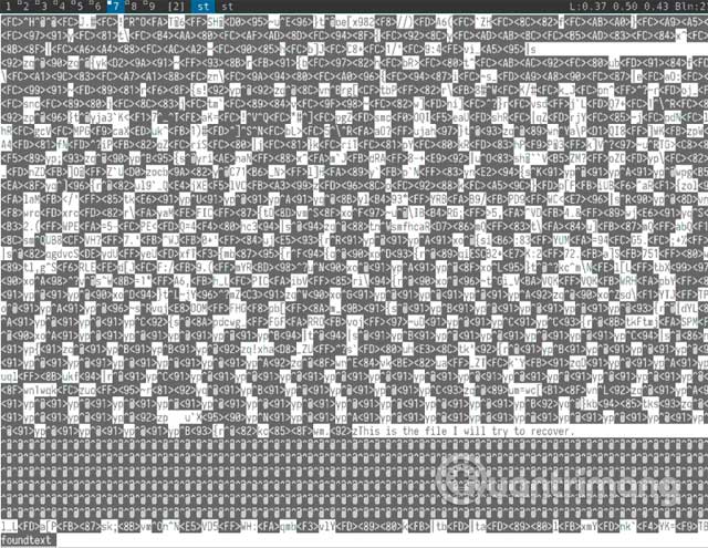 File nhị phân đầu ra