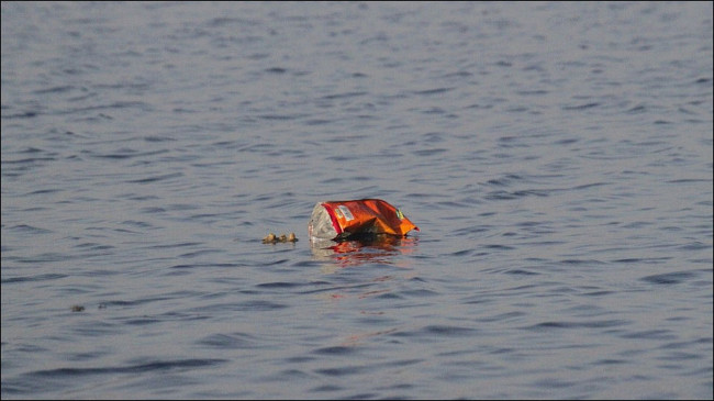 Thiết bị giấy có thể xác định nước bị ô nhiễm