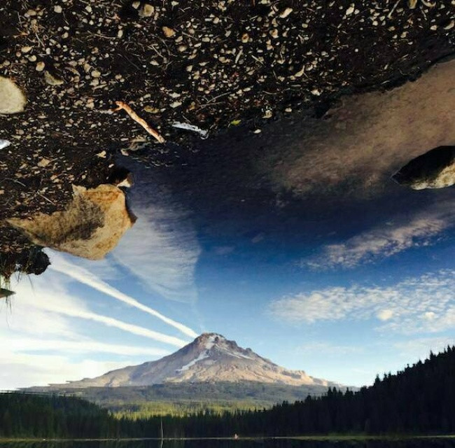 Ý tưởng tuyệt vời về phản chiếu có thể biến những bức ảnh thường ngày trở thành vi diệu.