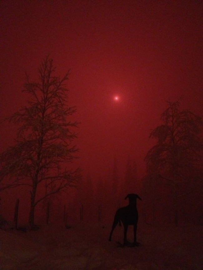 Khung cảnh ngày tận thế này được tạo nên từ pháo hoa, bạn có tin không?