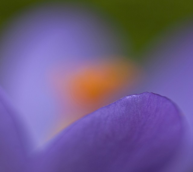 Hình nền gốc của Nokia 8 Sirocco 3