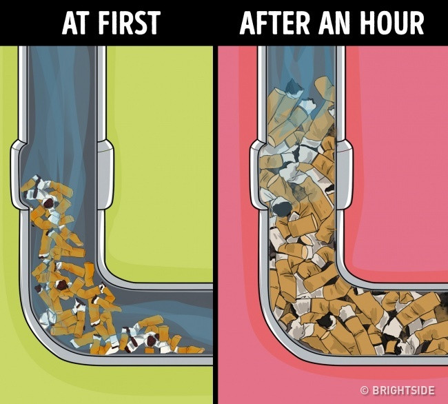 Đầu lọc thuốc lá