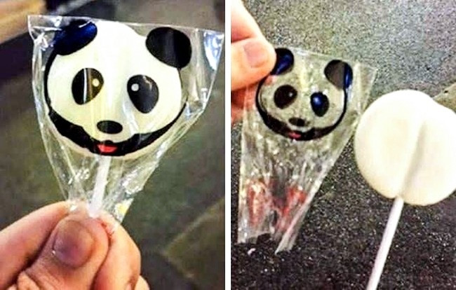 "Gấu trúc đâu rồi...?"