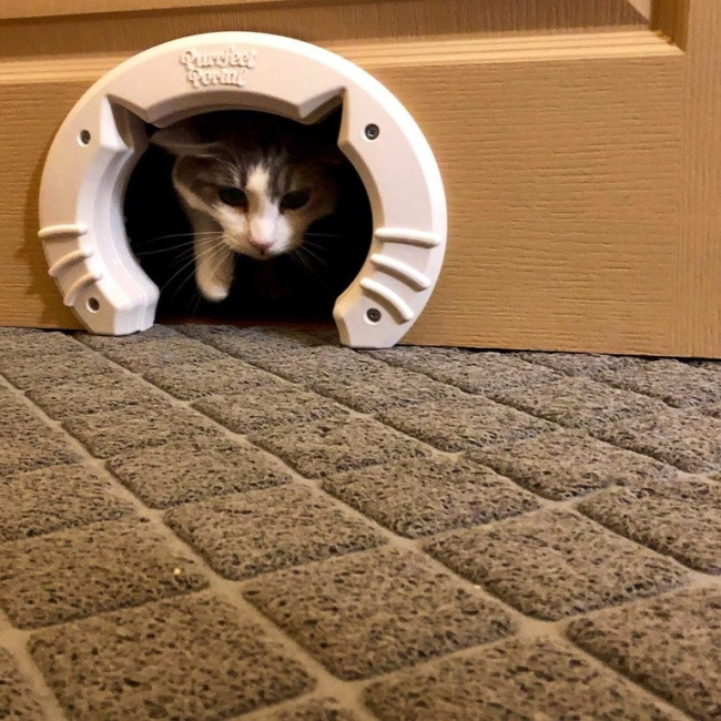 Cánh cửa nhỏ xinh dành riêng cho các boss đây rồi.