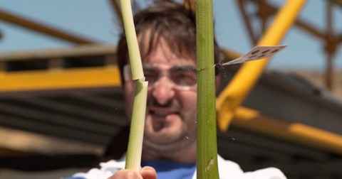 Xem màn trình diễn phi bài và bắn súng nhanh nhất thế giới dưới tốc độ quay chậm 28.000 khung hình/giây