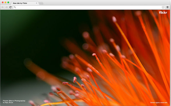 Khi mở tab mới sẽ có bức hình đẹp, độc đáo