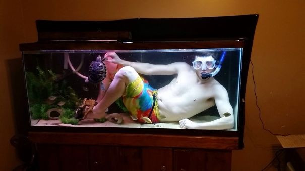 Anh ấy thực sự muốn bơi cùng con rùa đó!