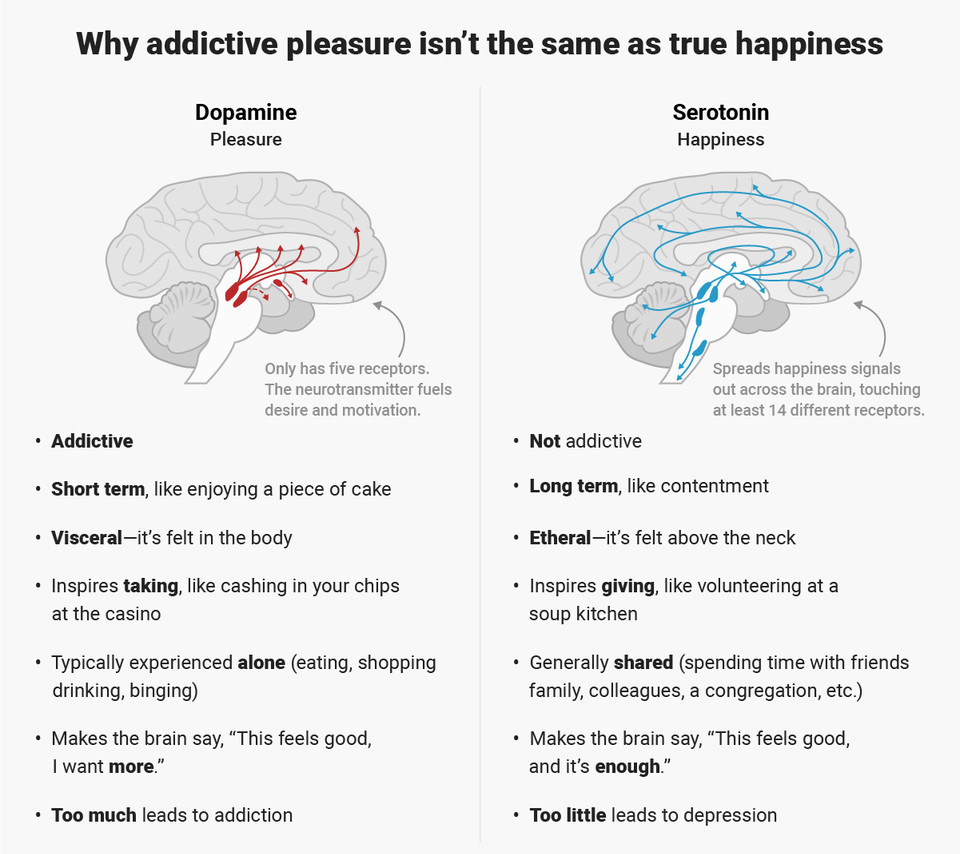 Bộ não con người chỉ có thể làm một việc một lúc