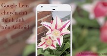 Google Lens là gì? Cách dùng Google Lens chuyển ảnh thành chữ, tìm thông tin dễ dàng