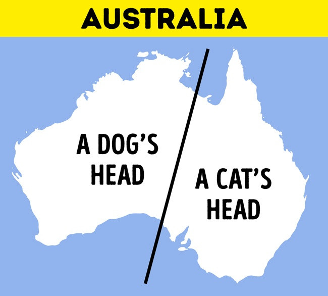 Bonus: Bạn nhìn thấy gì?