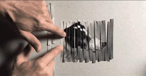 Máy cắt mỳ và thủ thuật chia nhỏ bức ảnh chú chó này sẽ cho bạn thấy ảnh số được chỉnh sửa như thế nào