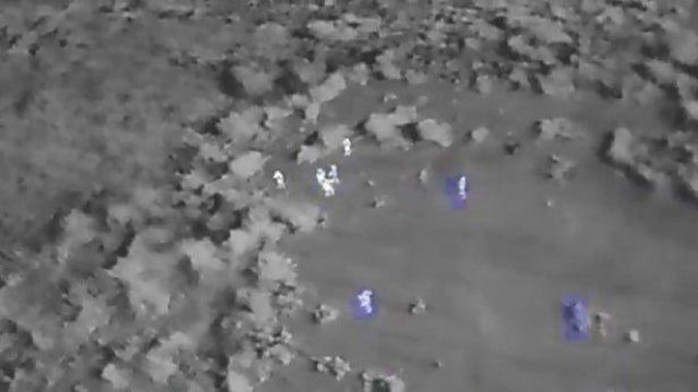 Hệ thống dựa trên AI được thiết kế để phát hiện những kẻ săn trộm