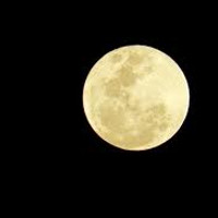 Vi khuẩn trên Trái đất sống dễ dàng trên Mặt trăng Enceladus