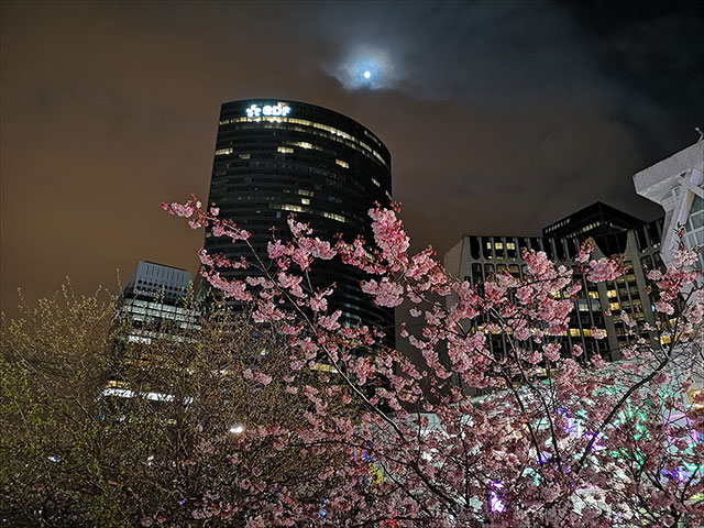 Ảnh chụp bằng Huawei P20 Pro