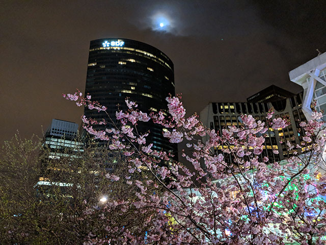 Ảnh chụp bằng Google Pixel 2 XL