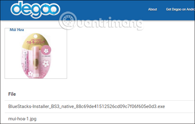 Xem trước hình ảnh