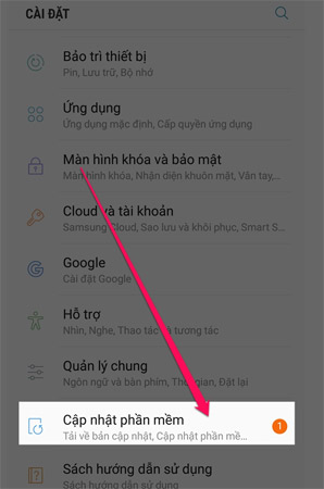 Vào Cài đặt > Cập nhật phần mềm