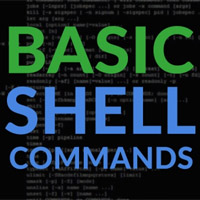 Các lệnh Shell cơ bản trong Linux