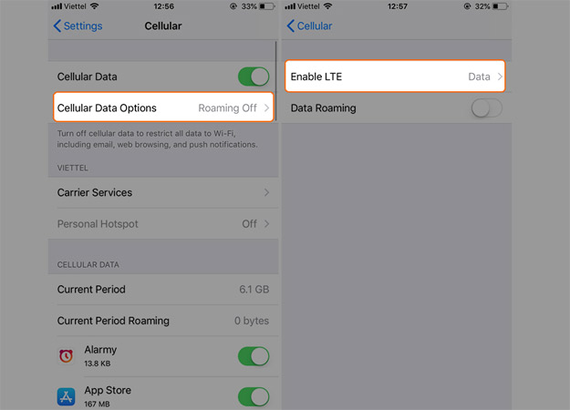 Chọn Cellular Data Options > Enable LTE