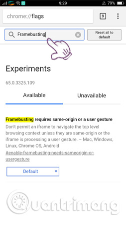Nhập từ khóa “framebusting” vào ô tìm kiếm