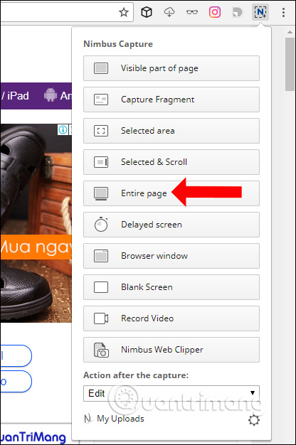 Chụp toàn trang web