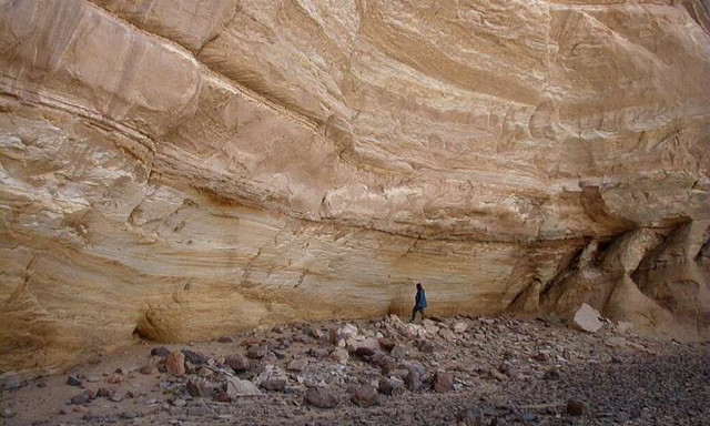 Nhà côn trùng học xác nhận nông trại Saharan đầu tiên cách đây 10.000 năm