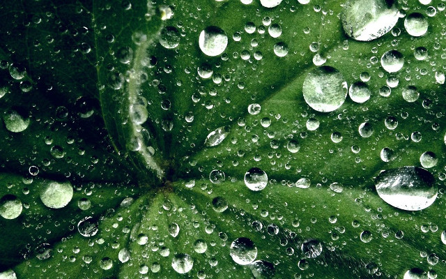 Tải ngay bộ hình nền cho máy tính với chủ đề tổng hợp chất lượng 2K 13