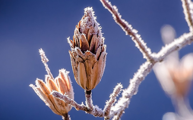 Tải ngay bộ hình nền cho máy tính với chủ đề tổng hợp chất lượng 2K 15