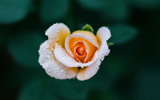 Tải ngay bộ hình nền cho máy tính với chủ đề tổng hợp chất lượng 2K 18