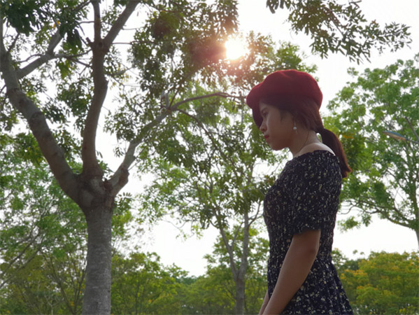 Với tán lá cây như thế này bạn có thể sử dụng được Art Boke