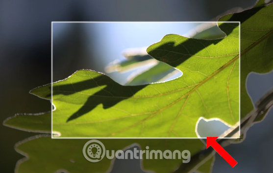 Ảnh chụp màn hình