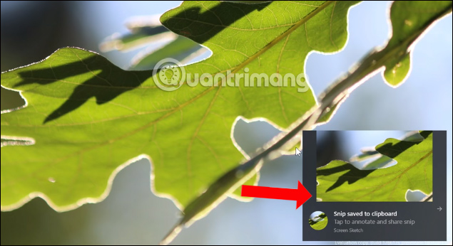 Thông báo ảnh chụp 