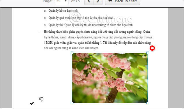 Chỉnh sửa vị trí ảnh