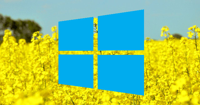 Một số ổ SSD của Toshiba gây ra lỗi không tương thích khi cập nhật Windows 10 April Update