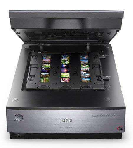 Epson Perfection V800