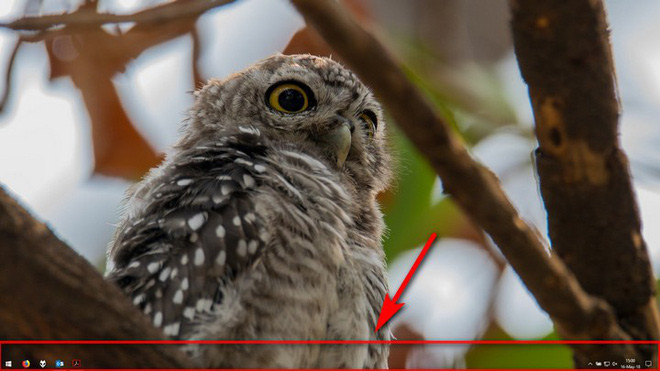 Taskbar biến mất sau khi cập nhật