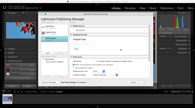 Cách đăng ảnh lên Instagram từ Lightroom