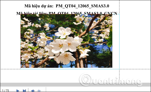 Thay đổi kích thước ảnh