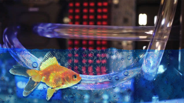 Nước làm mát rò rỉ bên trong máy tính 