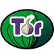 Cách sử dụng Tor Browser để lướt web ẩn danh