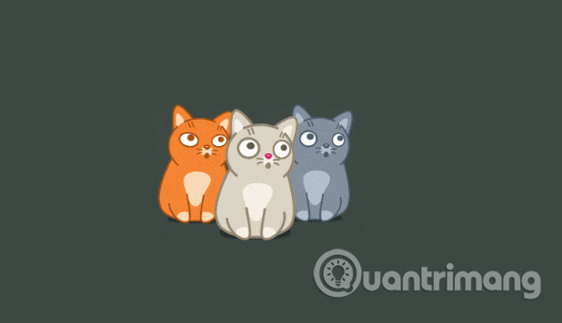 Những chú mèo siêu đáng yêu