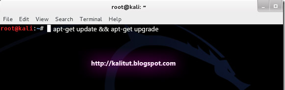 Khởi động Kali Linux và một terminal